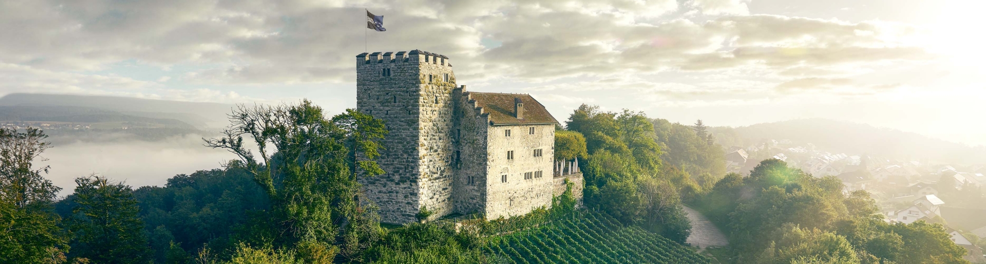 Ausflugsziele im Aargau wie das Schloss Habsburg auf einem Hügel, umgeben von Weinbergen und dichtem Wald ©Aargau Tourismus