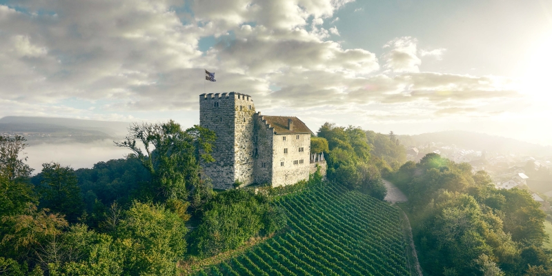 Ausflugsziele im Aargau wie das Schloss Habsburg auf einem Hügel, umgeben von Weinbergen und dichtem Wald ©Aargau Tourismus