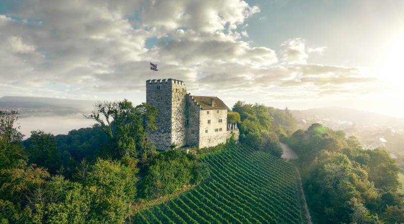 Ausflugsziele im Aargau wie das Schloss Habsburg auf einem Hügel, umgeben von Weinbergen und dichtem Wald ©Aargau Tourismus
